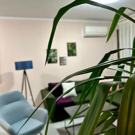 Snappyb - Colours Apartment อเล็กซานโดรโพลิส ภายนอก รูปภาพ