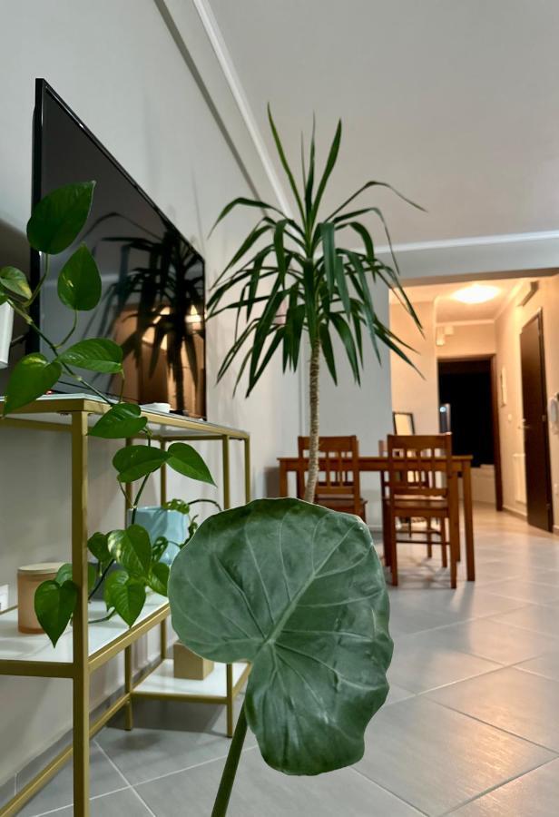 Snappyb - Colours Apartment อเล็กซานโดรโพลิส ภายนอก รูปภาพ